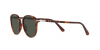 OKULARY PERSOL® PO 3210S 24/31 51 ROZMIAR M